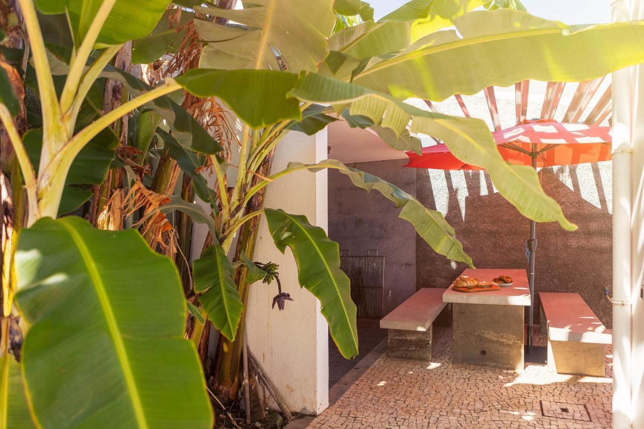 Villa Amplitude Câmara de Lobos Zewnętrze zdjęcie